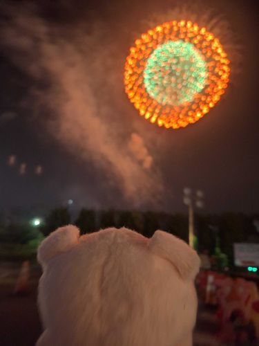 ぶーちゃん。
はじめての花火大会きれいだったね。
また来年もね。