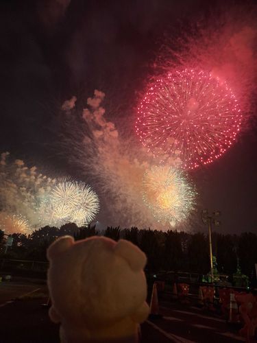 わおー！
ぶーぶぶー！
ぶーちゃん、大興奮だったね。