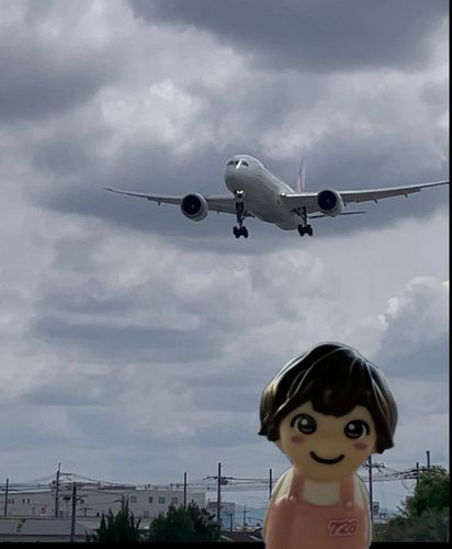 伊丹空港に飛行機を見に行ったよ✈️