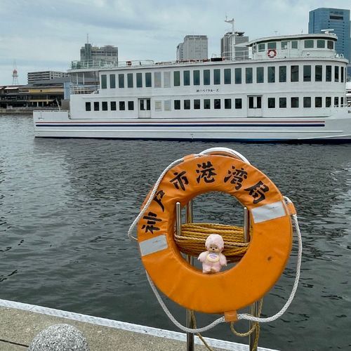 海に落ちないかヒヤヒヤ😅