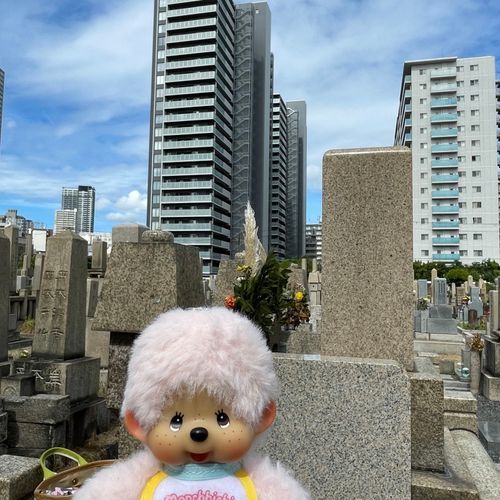 お墓参りに来たよ🪦