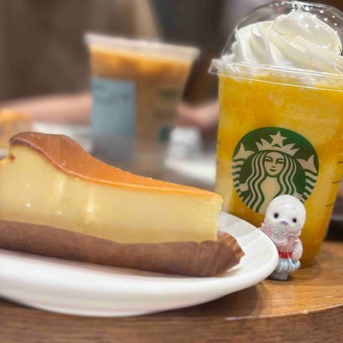 チーズケーキ！！✨✨