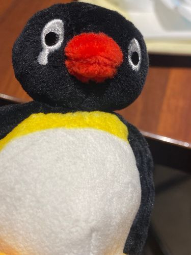 ないちょる🥲