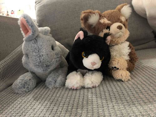 僕のお友達を紹介するよ！
犬のモカくんとうさぎのブルーくんだよ
