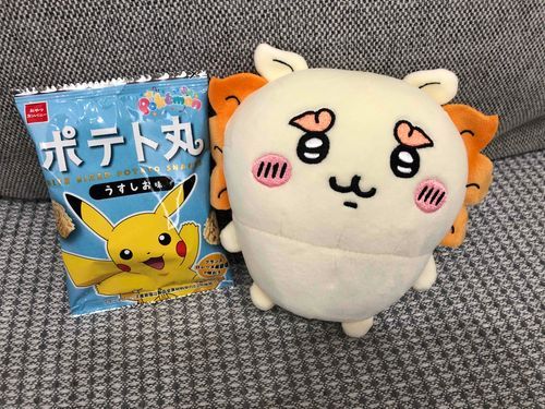 僕シーサー！
今日の僕のおやつは
これだよ！
美味しいよ♡