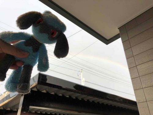 にじと一緒