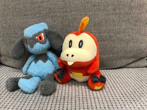 今日は僕のお友達のホゲータを紹介するよホゲータは
炎タイプリンゴがだい好きだよ
