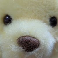 ほたて