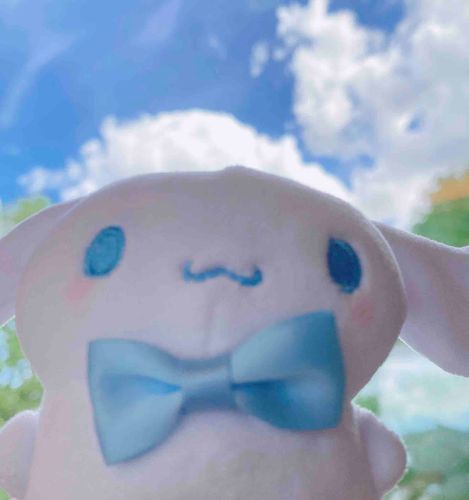 にんげんは服を着るけど、ぴしゅはおそらを纏うのさ☁️🫧