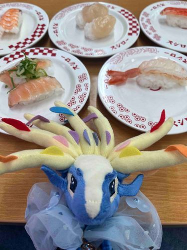 お寿司大好きですからね我々🍣