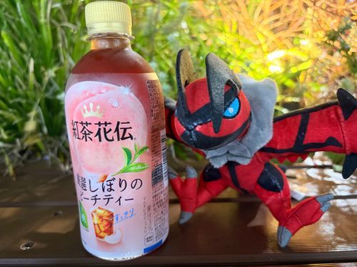 イベさんお買い物、付き合ってくれてありがとうね。