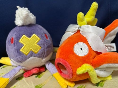 チームカロスの他に、この子たちもいます😚🫶
