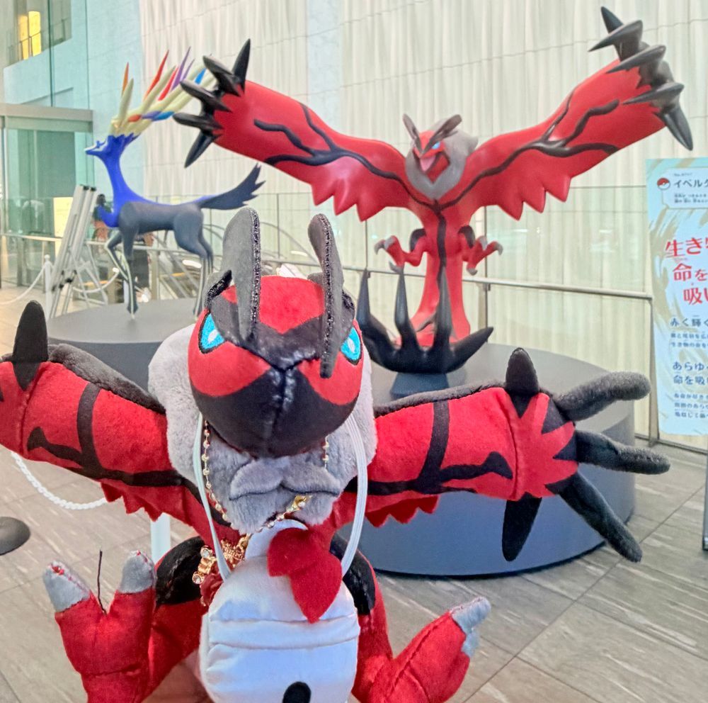 今日はトレーナーと共に、朝から我々に会いに行きました。
……おや？やっと来たのですね。
ずっと待っていましたよ、秩序。

(ゼル)