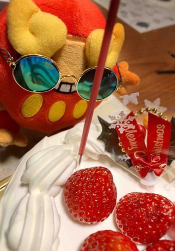 クリスマスケーキだぜ！ふわふわクリームとまっかないちごがうまそう
じゅるり