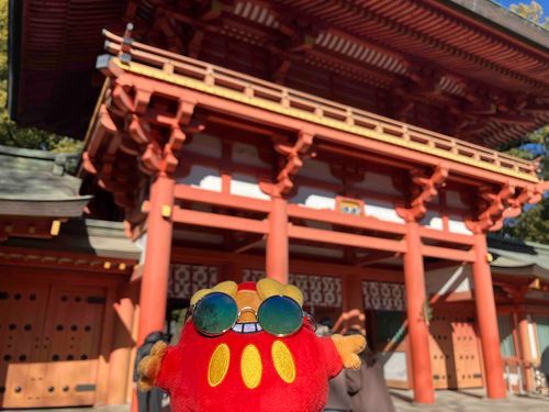 あけましておめでとうございます、だぜ。じんじゃにいってきたぜ。
ことしもよろしくな。