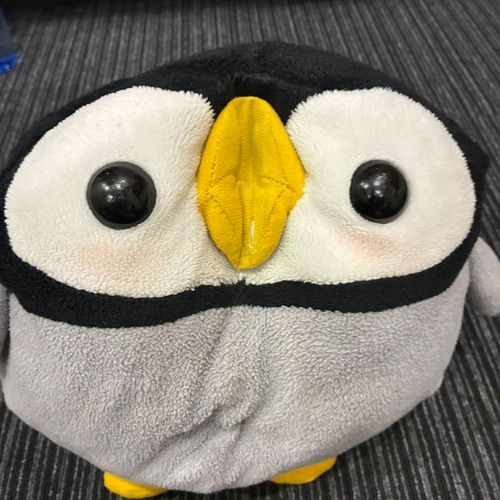 きゃわいい✨きゅるるん♪系の�����です！