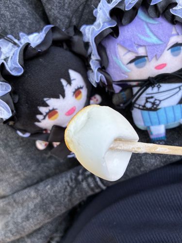お気に入りのぱぺ2人だよ