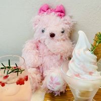 さくらちゃん