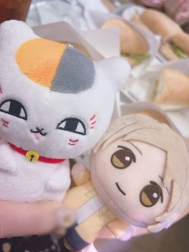 🐱：今日はわたしと夏目がお供してやっている✨️
DOUTORのサンドもなかなか美味そうだ🤤
