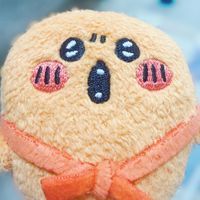 たこつき