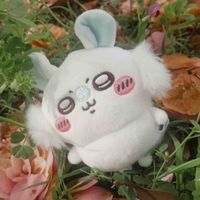チンチラ🍑ヤンキー