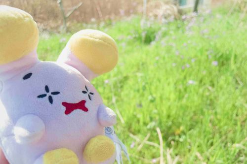 みどりが きらきら してるだなも
