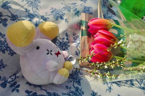 たくさん ピクニック に つれてって もらってる だなも 🌷🥪👒🧺🫧🥂