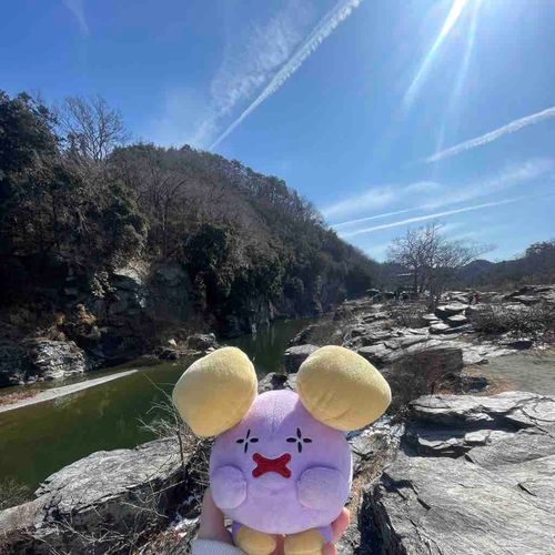 ながとろ だなも