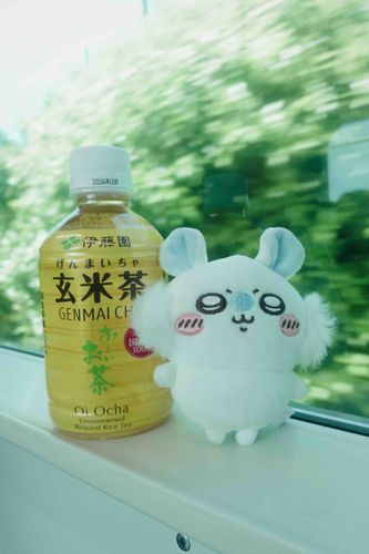 おでかけっ！！