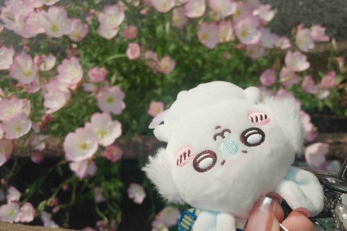 キラキラ〜꒰՞o̴̶̷̤ᾥo̴̶̷̤՞꒱✨🌼*:･ﾟ