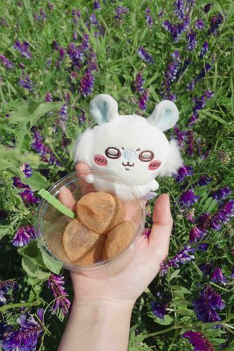 ピクニックだァ？？꒰՞o̴̶̷̤ᾥo̴̶̷̤՞꒱