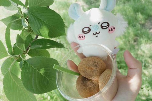 新緑だァ??꒰՞o̴̶̷̤ᾥo̴̶̷̤՞꒱ふんっ！！🪴