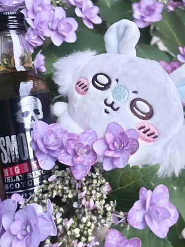 なぁんだァ…??꒰՞o̴̶̷̤ᾥo̴̶̷̤՞꒱🥃