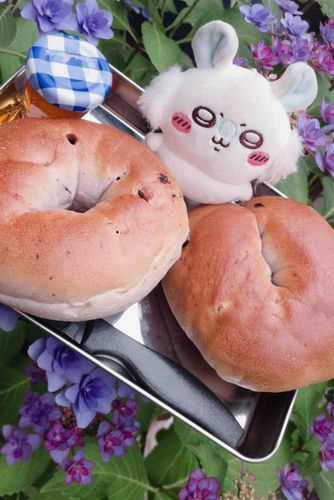 ブルーベリーベーグルだと…🫐🥯꒰՞o̴̶̷̤ᾥo̴̶̷̤՞꒱