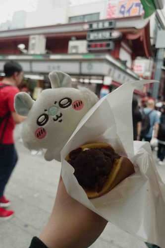 なんだァ？？どら焼きだけァ…？꒰՞o̴̶̷̤ᾥo̴̶̷̤՞꒱