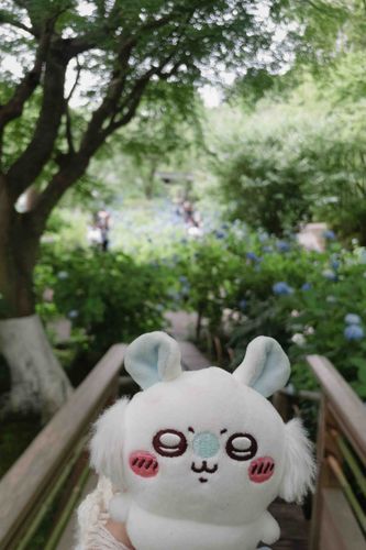 ͛💠꒰ ՞o̴̶̷̤ᾥo̴̶̷̤՞ ꒱☔️.*･ﾟ　.ﾟ･*.