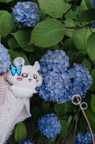 ☔️꒰՞o̴̶̷̤ᾥo̴̶̷̤՞꒱͛💠