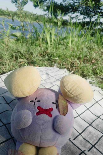 ピクニック だなも ！！