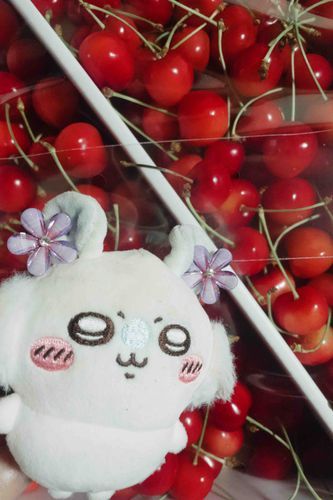 丸くて甘いぞ！！！🍒꒰՞o̴̶̷̤ᾥo̴̶̷̤՞꒱✨