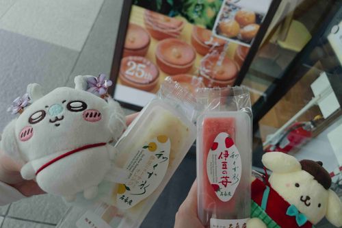 くず餅アイスだァ？꒰՞o̴̶̷̤ᾥo̴̶̷̤՞꒱🍦