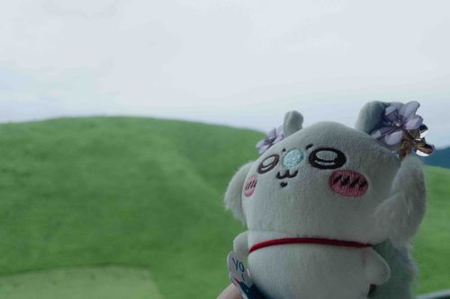 ⛰️𝒏𝒂𝒕𝒖𝒓𝒆🌿