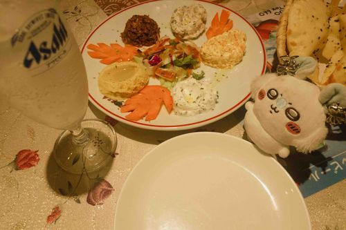 トルコ料理だァ…？꒰՞o̴̶̷̤ᾥo̴̶̷̤՞꒱