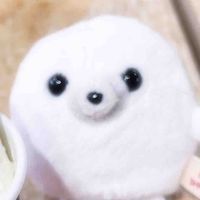 とうがらし