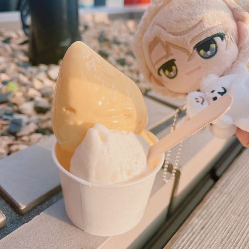 主任、１週間お疲れ様。
これはジェラートだ！
お米と、かぼちゃ味らしい。