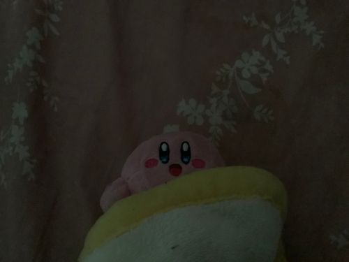 おはよー！(((o(*ﾟ▽ﾟ*)o)))
おふとんあったかい〜( *´꒳`* )
はつとうこうだよ〜( *´꒳`* )みんなこれからよろしくね〜( *´꒳`* )