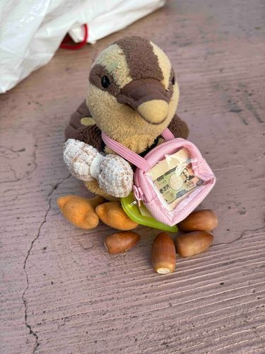 お出掛けスタイル。バックにお小遣い入れて、黄色い迷子札には名前と飼い主の連絡先が書いてあるぽっぽ🦆