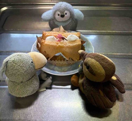 🦆🐦🐧モグモグ、モグモグ…。
さくらのシフォンケーキ。みんなでたべるとおいしいぽっぽ。