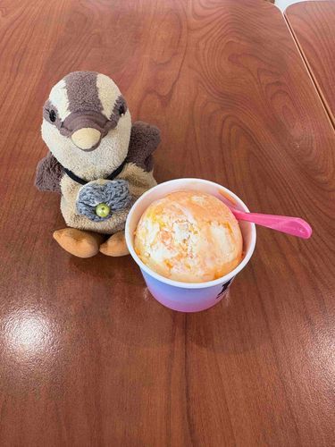 アイスがおいしいきせつだね。