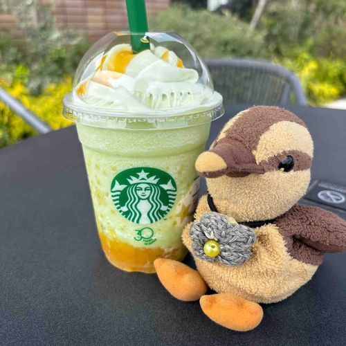 ふらっとよったスタバ。メロンのフラペチーノだったよ。