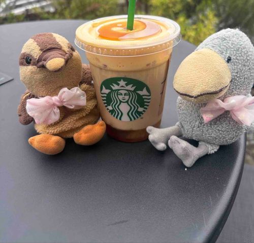 🦆しんさくのいもラテだよ🍠
🐦つぎはフラペチーノものみたいな。
